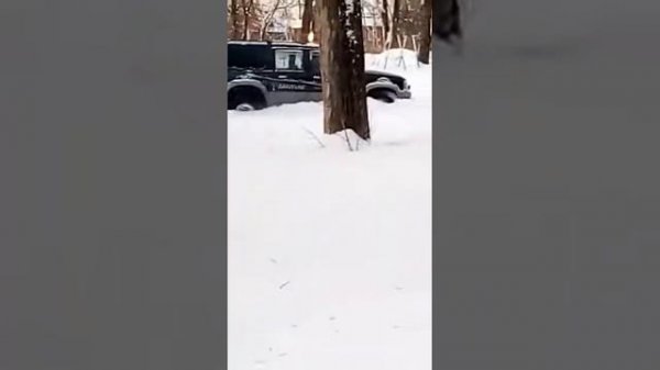 Mazda Proceed Marvie