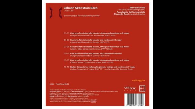 J.S.BACH - Six Concertos for Violoncello Piccolo (Mario Brunello) смотреть онлайн