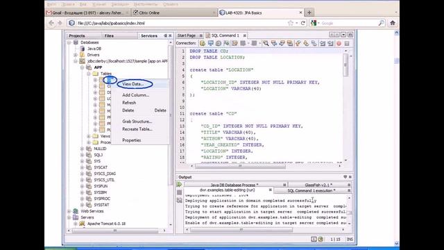 3. Java Beans (технология EJB 3.0, J2EE) смотреть онлайн