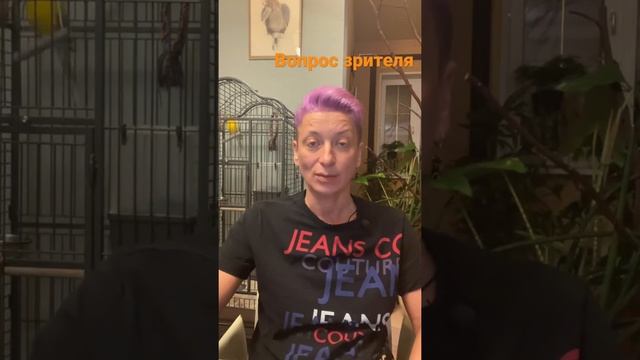 Хамедорея и лаки бамбук - хорошее соседство? смотреть онлайн