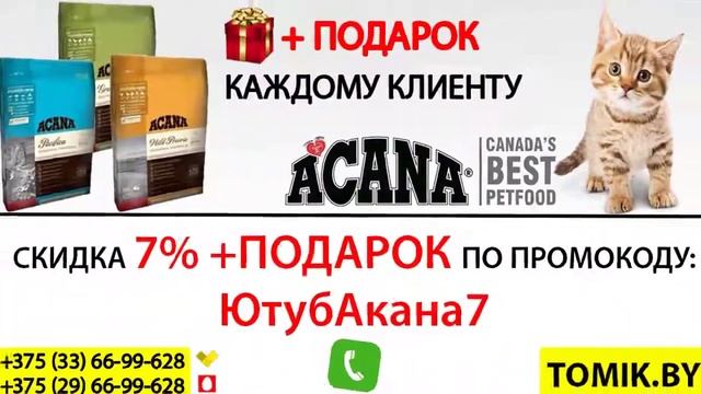 Acana Grasslands For Cats ОТЗЫВЫ Акана Грасслэндс для кошек МИНСК купить НЕДОРОГО