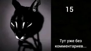 Сколько у тебя сегодня уроков (Жуткие лица Шлёпы: Расширенно)