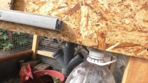 Курятник на даче. Летний курятник в огороде.