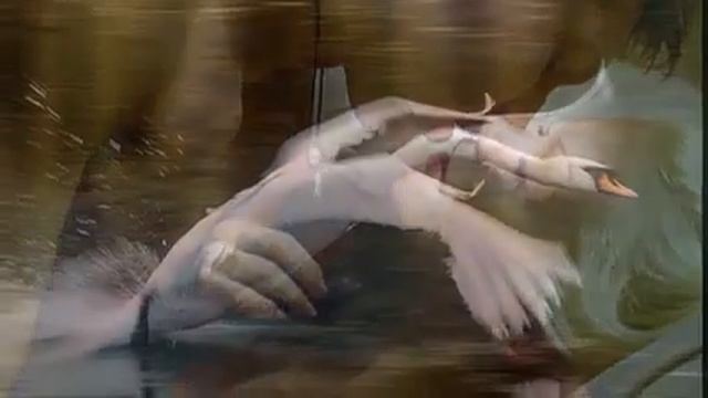 Ветка сирени смотреть онлайн