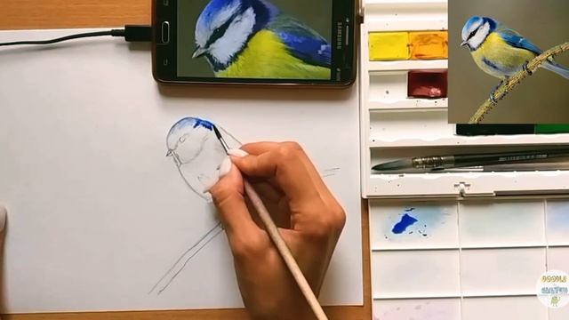 Как нарисовать птицу синицу акварелью - запись эфира с Еленой Комаровой смотреть онлайн