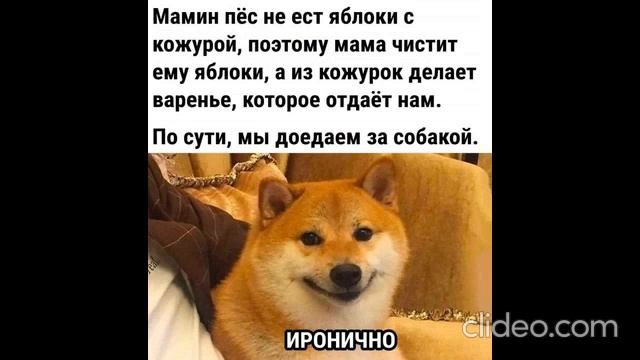 утром 13.07 смотреть онлайн