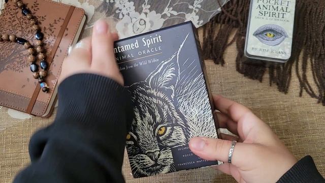 November Decks, Books, and Practices смотреть онлайн