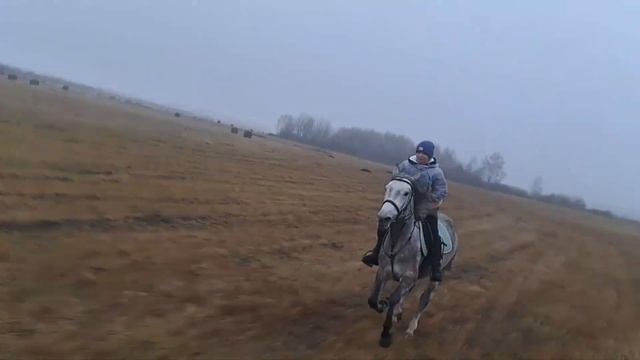 Комплимент жив и здоров! смотреть онлайн