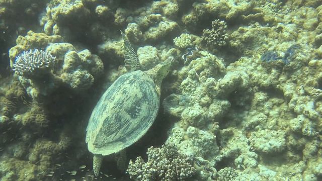 Обед по расписанию. смотреть онлайн