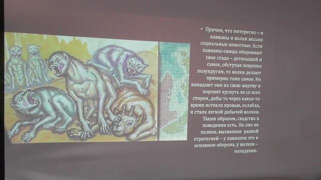 Общество людей и стадо бабуинов. В чем отличия? Александр Белов 18.03. 2023 г. смотреть онлайн