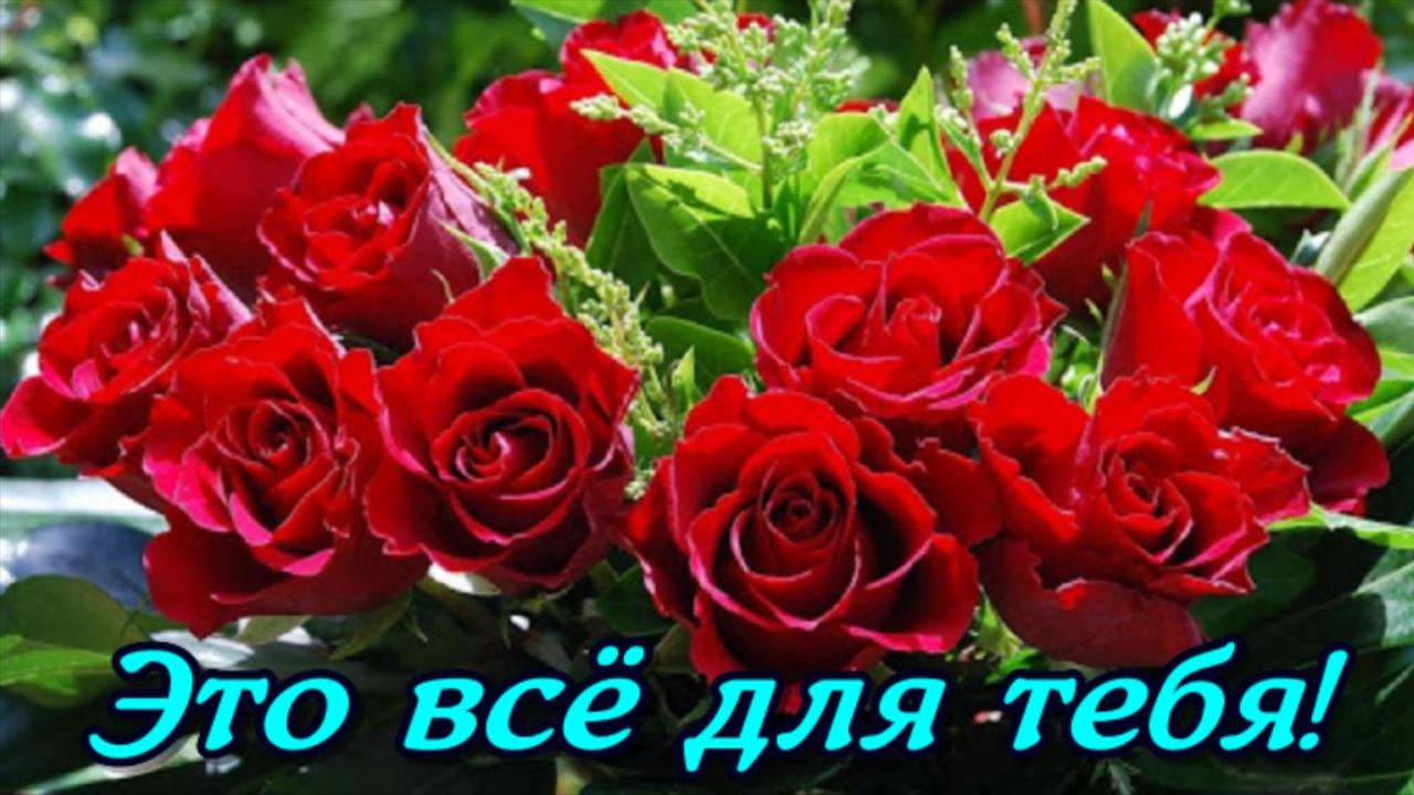 Красивые пожелания Женщине в День рождения! Музыкальный подарок от всей души Видео Открытка смотреть онлайн