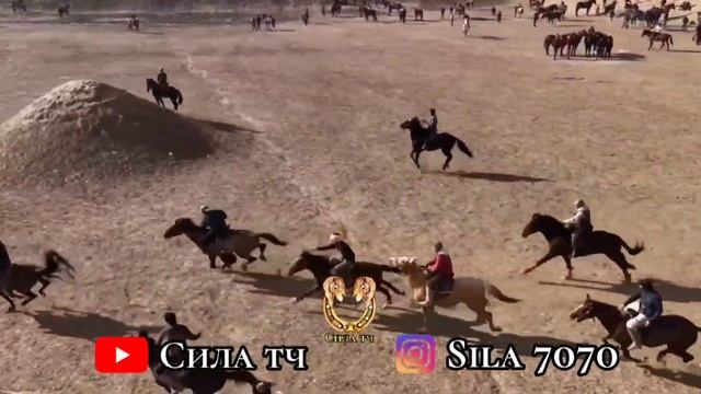 Бузкаши шахри хисор баромади хочиакбар Човандози Ш Хисор паланг??? смотреть онлайн