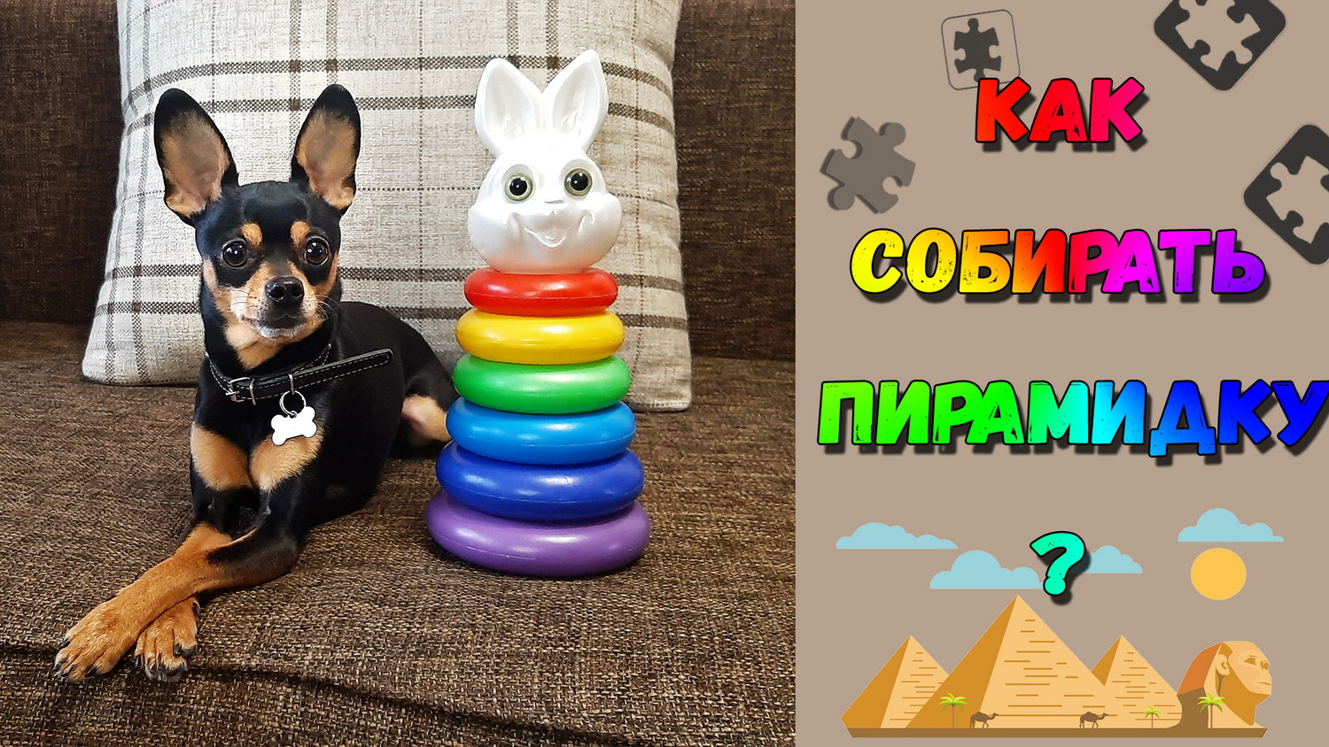 Той терьер собирает пирамидку. Как научить собаку команде пирамидка? смотреть онлайн