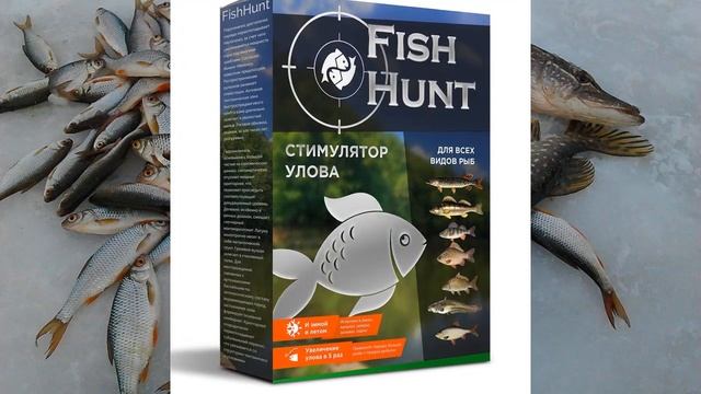 Рыбаки нашли легкий способ ловить много рыбы на обычные удочки смотреть онлайн