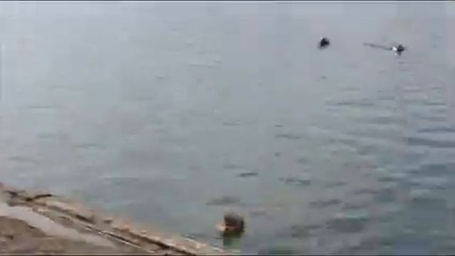 VLOG #1: Мюнхен, Нимфенбургский дворец. смотреть онлайн