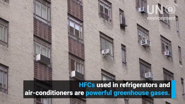 World Ozone Day 2019 32 years and healing смотреть онлайн