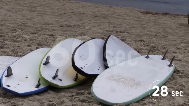 Проект 60sec №375. SURFEST