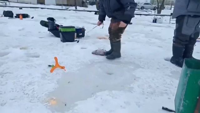 2 февраля 2023 г. смотреть онлайн