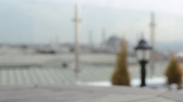 Clever Case Leather Shell для iPhone 4/4S смотреть онлайн