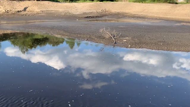 Евлашевский пруд без воды смотреть онлайн