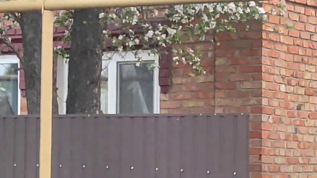 А потом была корова смотреть онлайн