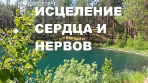 ПЕНИЕ ЗЯБЛИКОВ,ДРОЗДА И ПЕНОЧКИ ПОДНИМУТ НАСТРОЕНИЕ,УБЕРУТ ТРЕВОГУ И ХАНДРУ.ОЗДОРОВЛЕНИЕ ОРГАНИЗМА.