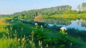 Моют золото в простых речках