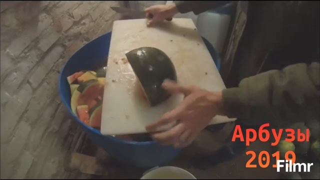 Засолка Арбуза 2019 смотреть онлайн