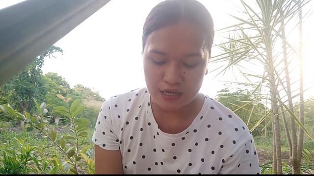 GARDENING STUFFS HAUL FROM LAZADA: SCAM OR NOT? смотреть онлайн