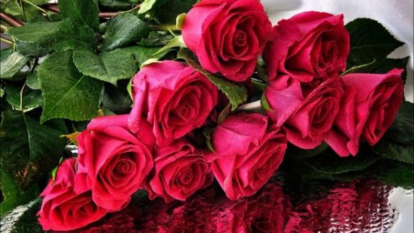 Antique - Pes Mou (Греческая музыка)