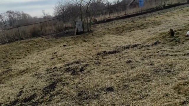 Вода ушла__кому нужна земля