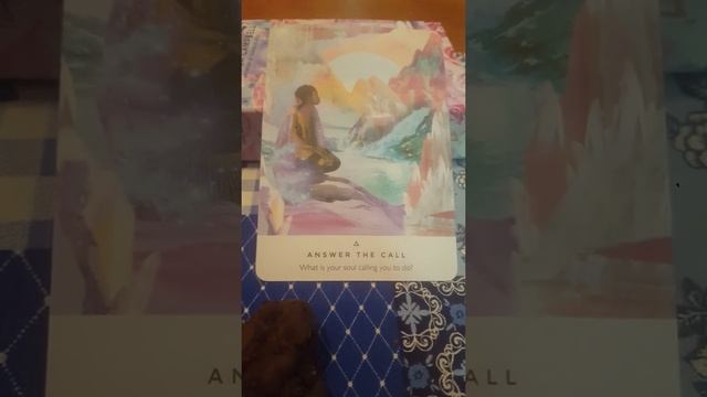 Toad Tarot | Oracle Card Monday June 29, 2020 смотреть онлайн
