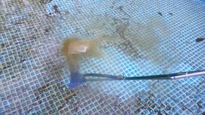 Вакуумный пылесос для очистки бассейна. Первое испытание и впечатления