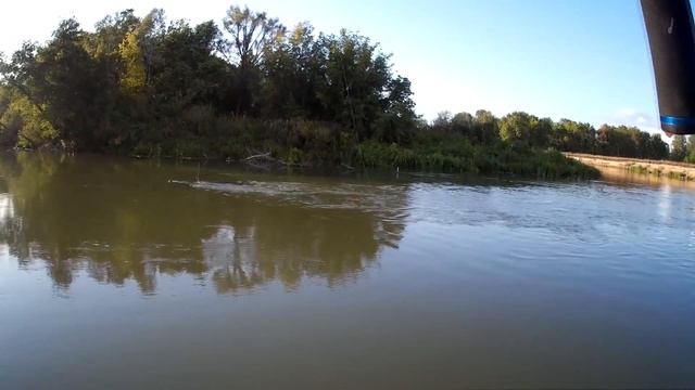 ГОЛАВЛЬ, ЖЕРЕХ НА ВОБЛЕР,  Р. ИК.  ?  воблер Ssv Golavl Pro ?