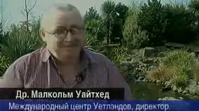 'Тайны глубин Чёрного моря' // Dark sekrets of the Black Sea смотреть онлайн