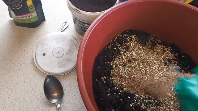 Грунт для рассады. Что кладу. Чем заправляю. смотреть онлайн