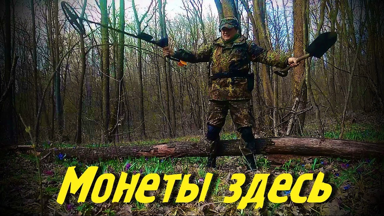 Медно-никелевые монеты в старом лесу ACE250(MD6250) + Mars Tiger