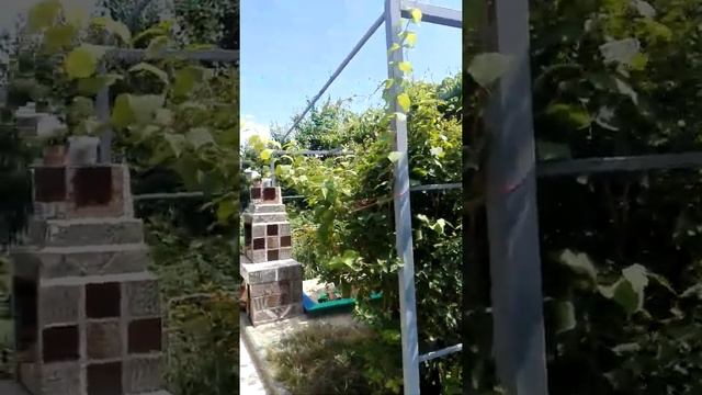 Детская площадка, двор смотреть онлайн