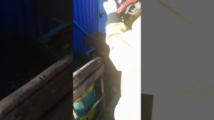 Хайди 9.8 обзор