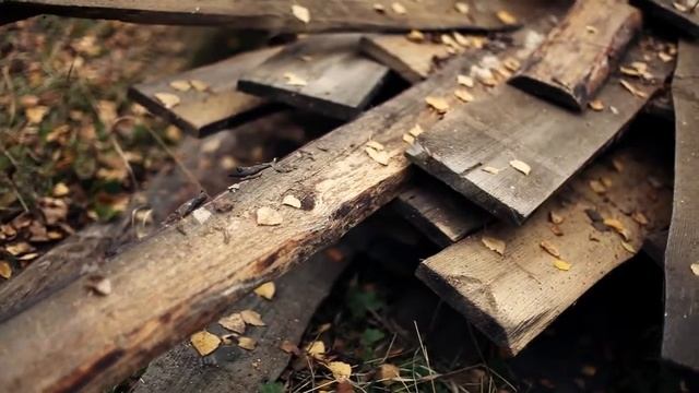 Сикияз тамак, смотреть онлайн