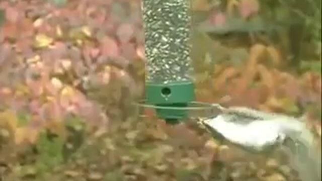 Потпишич. На меня пожалуйста дружок смотреть онлайн