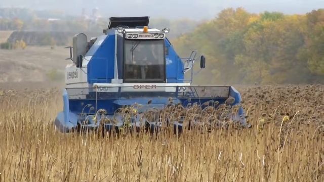 уборка подсолнечника ЕНИСЕЕМ 950 смотреть онлайн