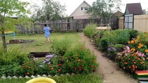 Купили дачу#Поставили забор#Продолжаем наводить порядок #