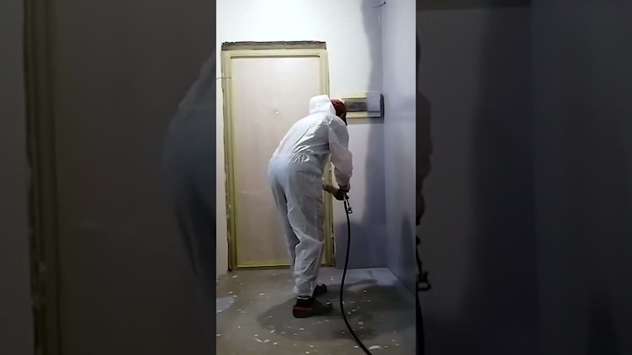 Окрасочные аппараты для дома и дачи #shorts смотреть онлайн