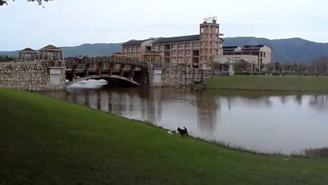 Samsung WB650 смотреть онлайн