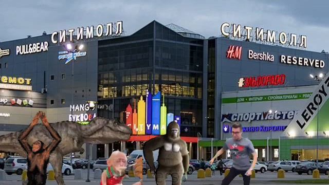 прикольнае видео смотреть онлайн