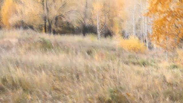 [Обзор] камуфляж woodland. смотреть онлайн