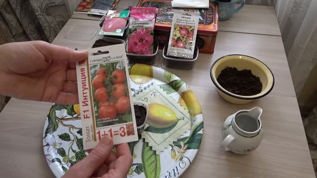 Посеяла среднеспелые помидор:Интуицию,Летнее солнце,Сержант Пепер,Бычье сердце 23 февраля 2023 года смотреть онлайн