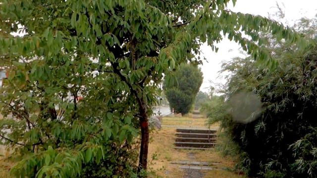 В гостях - как дома , а дома - как в гостях ! смотреть онлайн