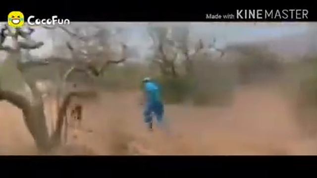 lihat dulu coi смотреть онлайн